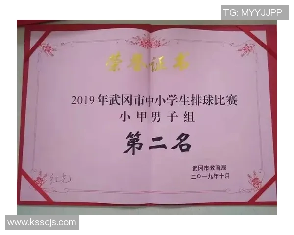 成都排球队心理素质分析与提升策略探讨